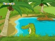 Cá Sấu